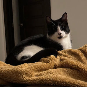 Meet your Posher, Maria